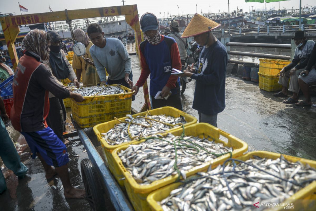 Perekonomian di pelabuhan perikanan menggeliat di masa pandemi