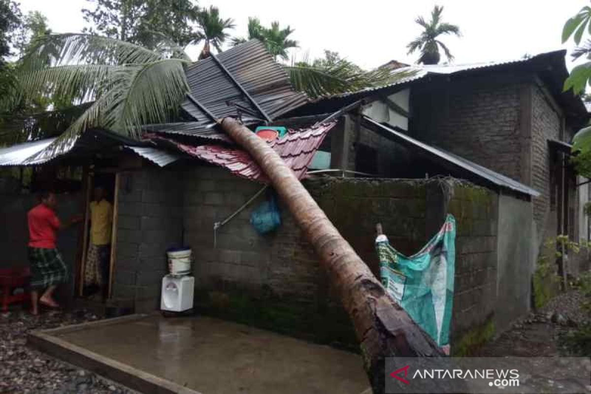 Seorang warga terluka tertimpa pohon akibat angin kencang di Aceh