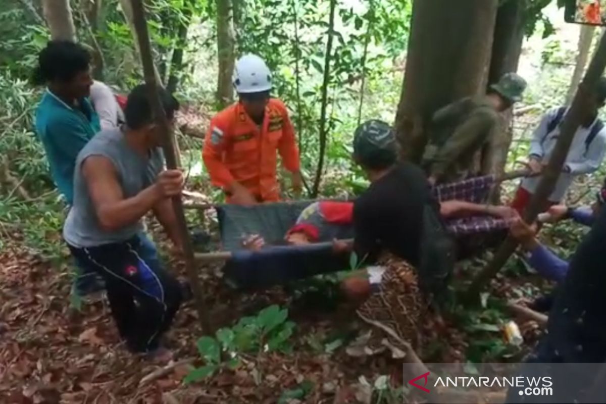 Pencari madu ditemukan meninggal di hutan Natuna