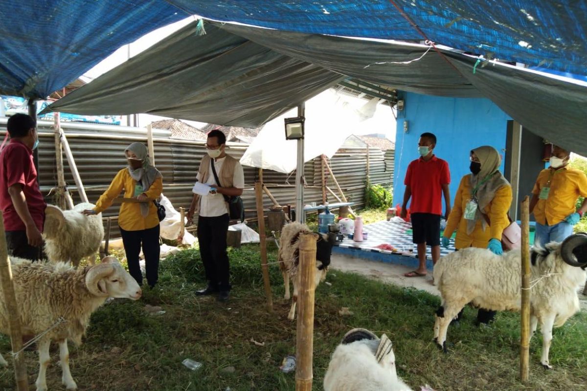 Distan Banten periksa kesehatan hewan kurban dan prokes pedagang