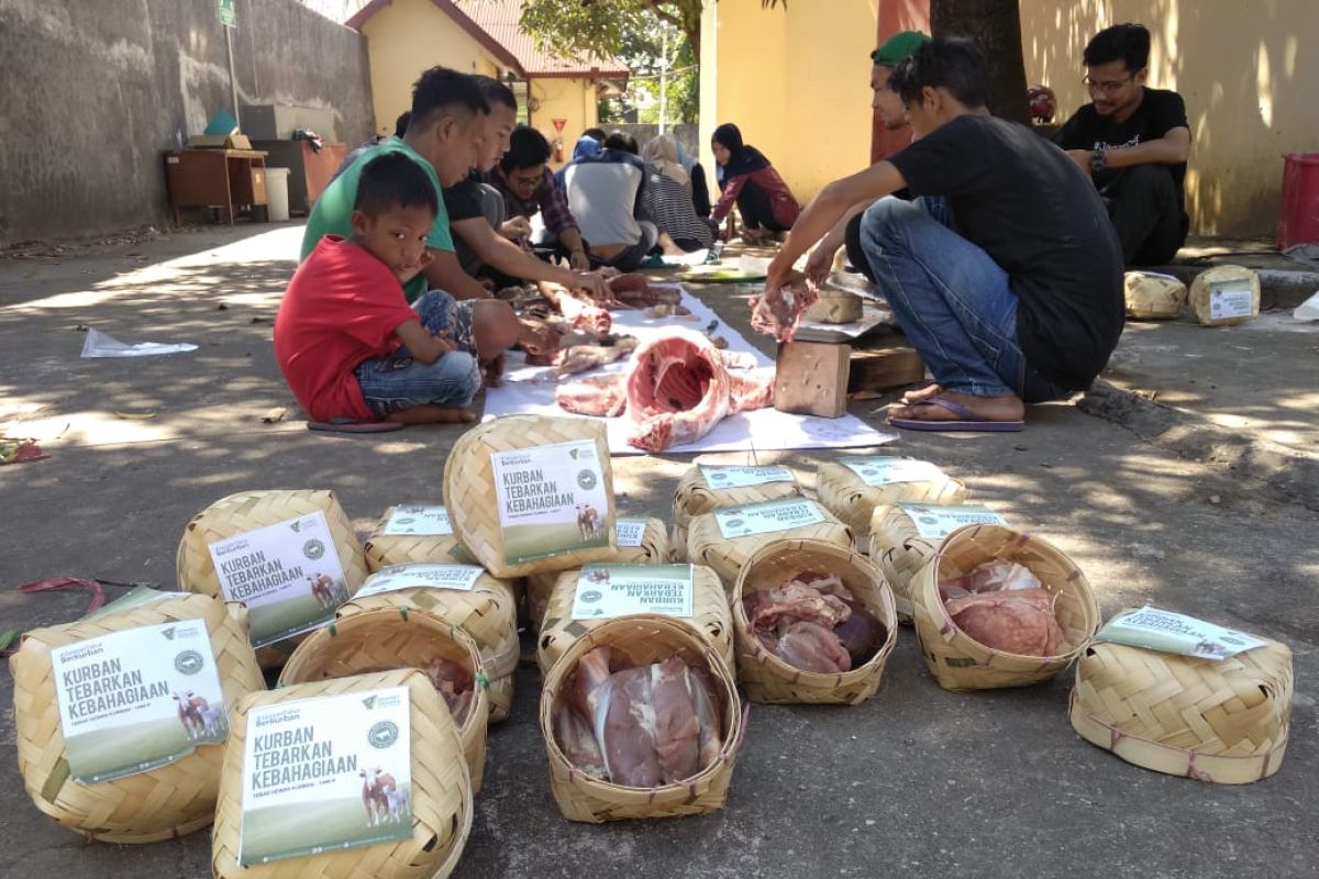 Dompet Dhuafa tebar 1.000 hewan kurban di Sulsel-Sulbar-Palestina