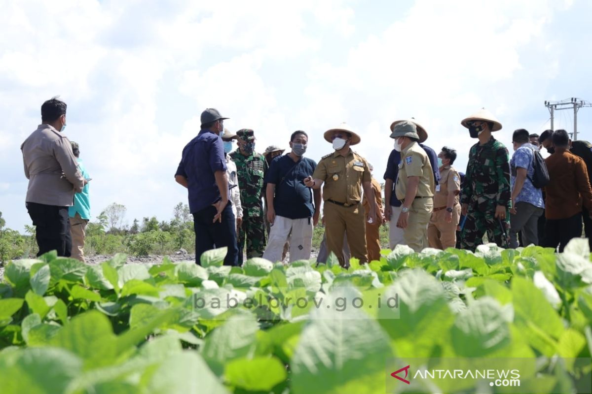 Sambut Budi Daya Kacang-Kacangan, Para Petani Ikuti Bimtek