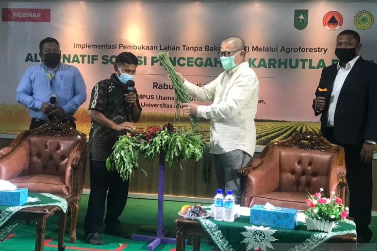 Tekun bertani pola "agroforestry", Herman kini nikmati hasil berlimpah