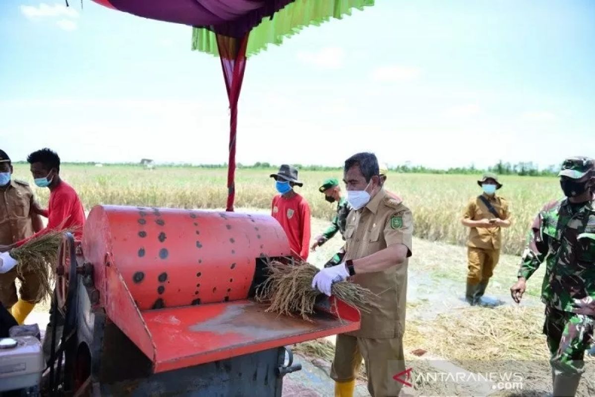 Produksi beras di sentra pertanian Bangka Tengah mencapai 680,4 ton