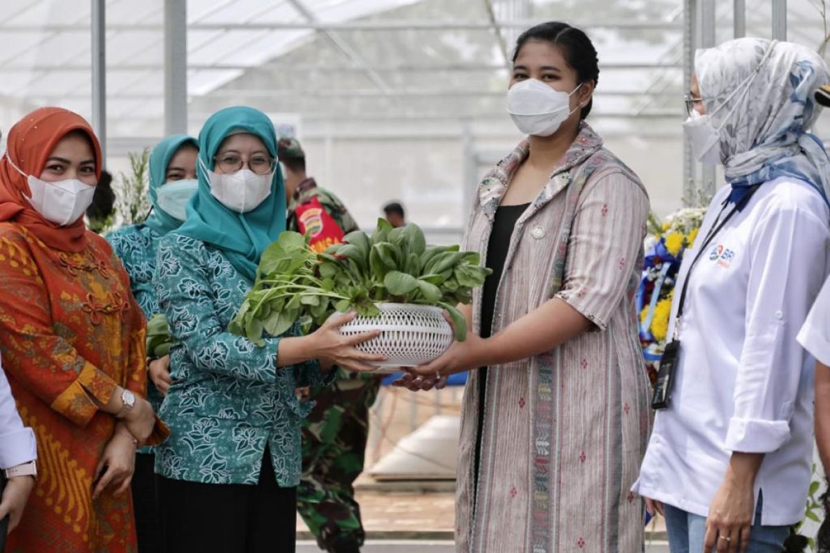 Kahiyang resmikan rumah kaca hidroponik di Johor