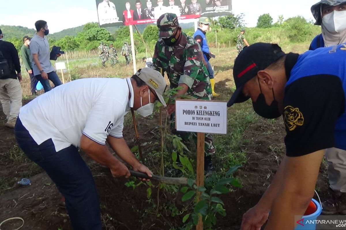 Pemkab-Kodim 1009/TLA tanam bibit pohon di lahan 11 hektare