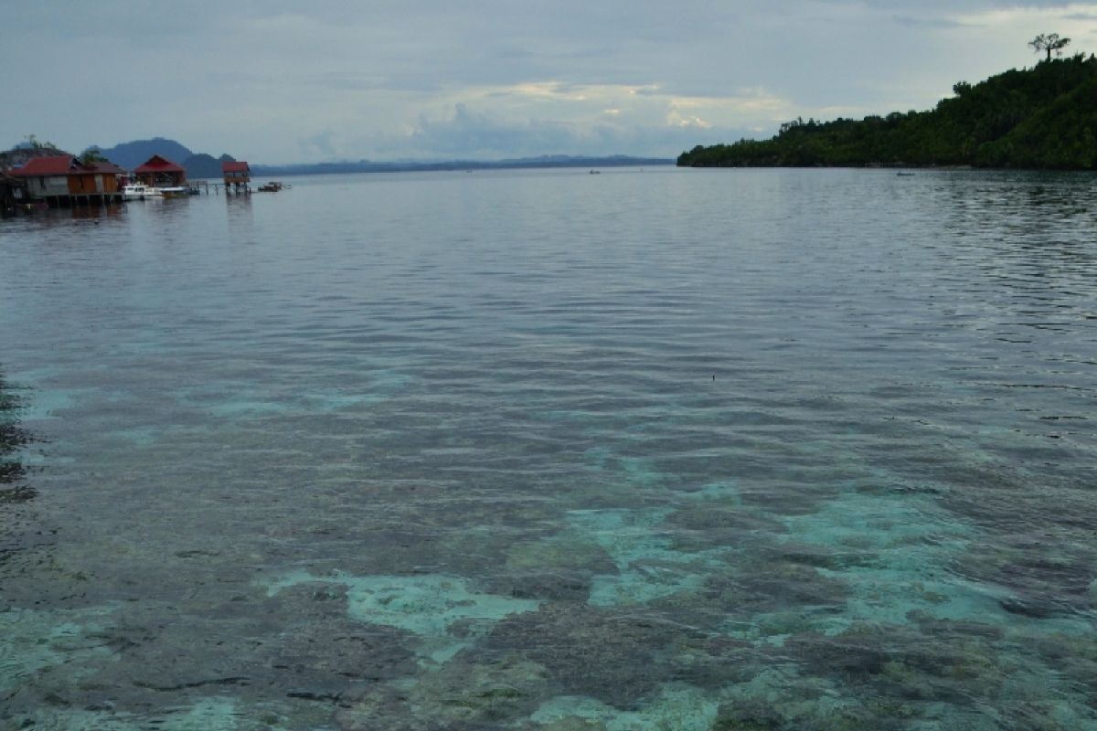 Pariwisata di Taman Nasional Togean tetap buka  di masa PPKM mikro