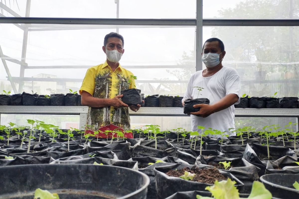 Pemkot Banjarmasin melaksanakan gerakan tanam sayur tekan stunting