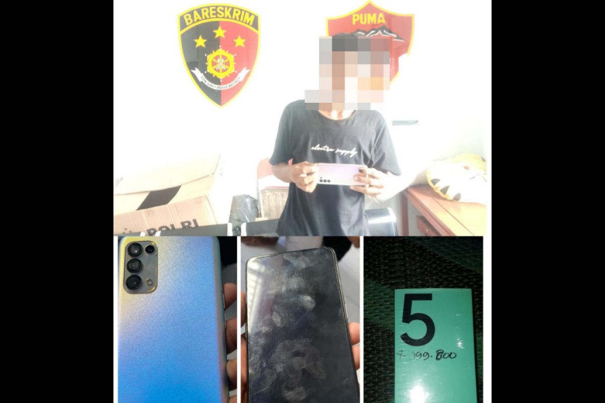 Curi handphone, seorang petani asal Sumbawa ditangkap polisi