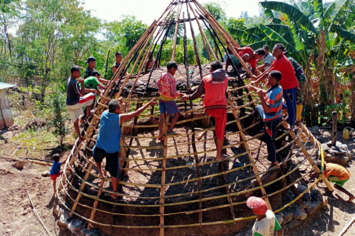 Satgas Pamtas RI-Timor Leste bantu warga bangun rumah adat