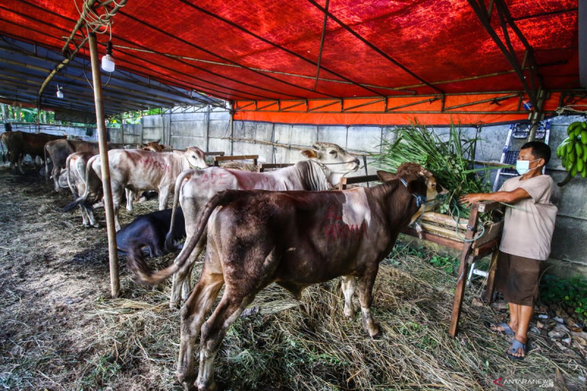 Kemarin, penetapan Idul Adha hingga vaksinasi berbayar