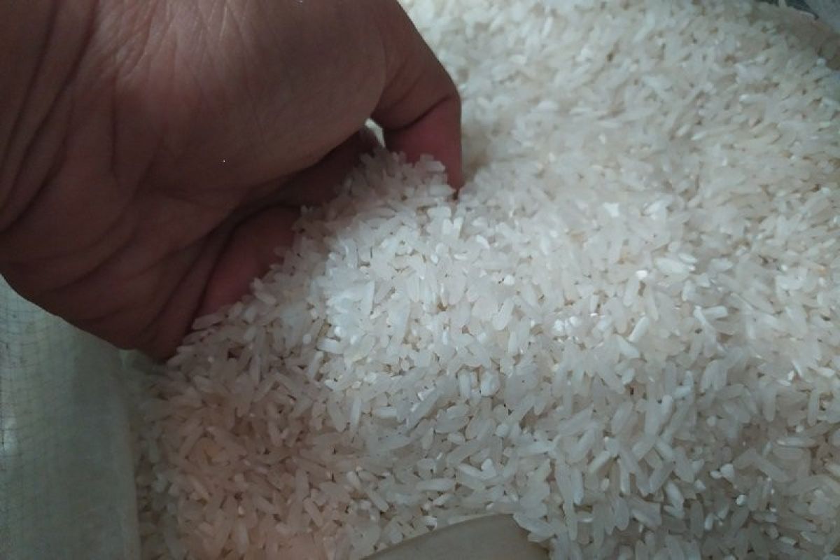 Saber Pungli temukan dugaan pemalsuan kualitas beras di Jabar