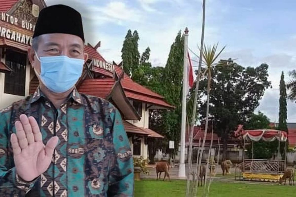 Plt Bupati Merangin akan beri sanksi pemilik sapi berkeliaran di Kantor Bupati Merangin