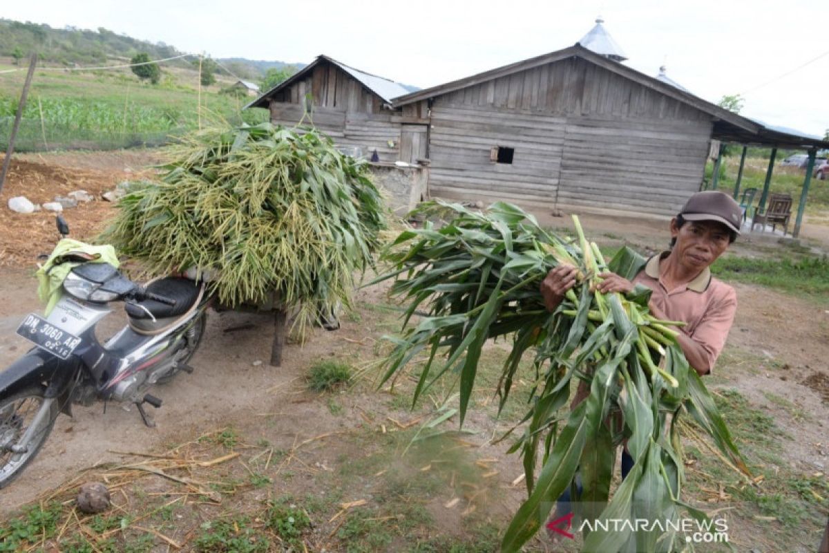 Pemerintah gelontorkan dana senilai Rp298 triliun ke daerah tertinggal hingga 2019