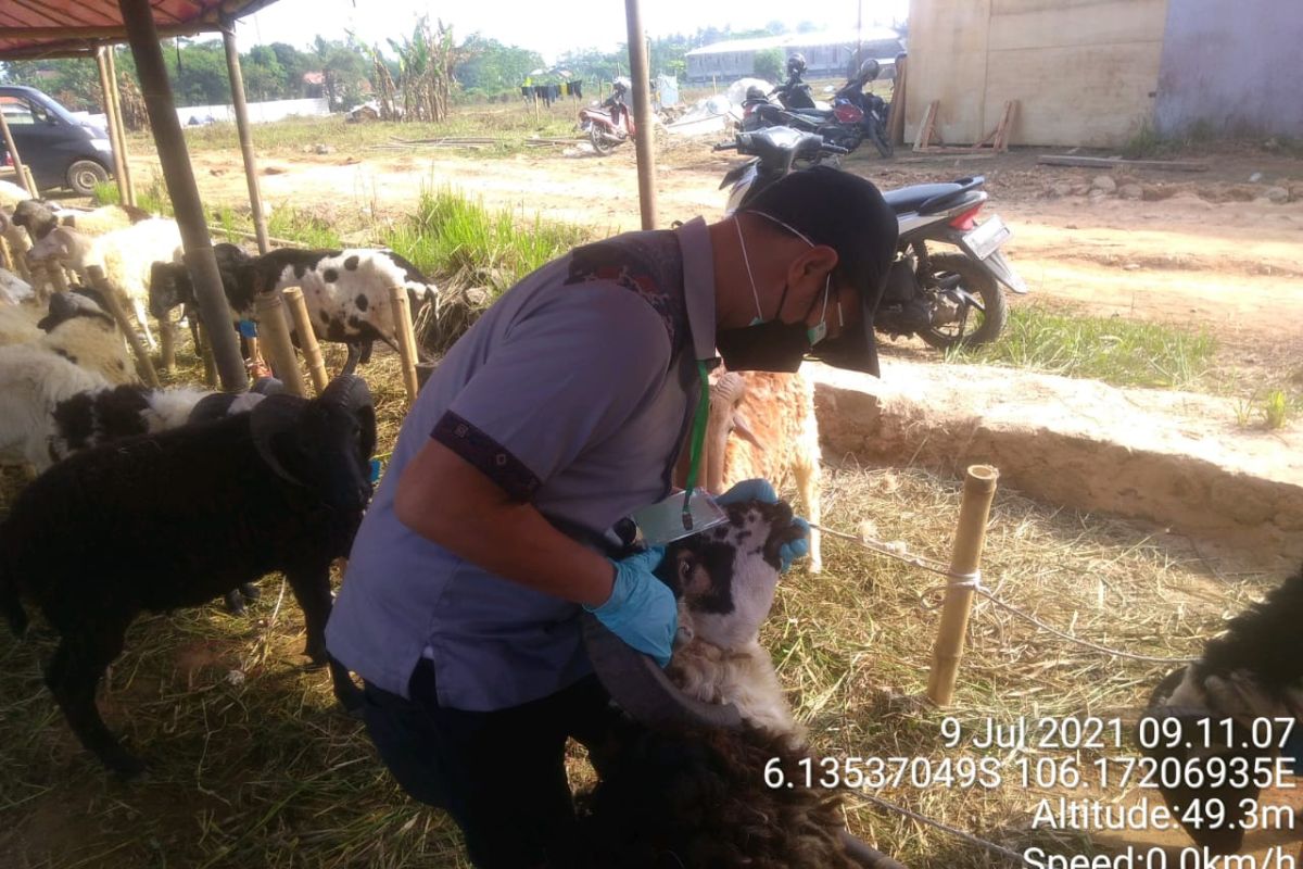 Distan Banten imbau penyembelih kurban patuhi prokes