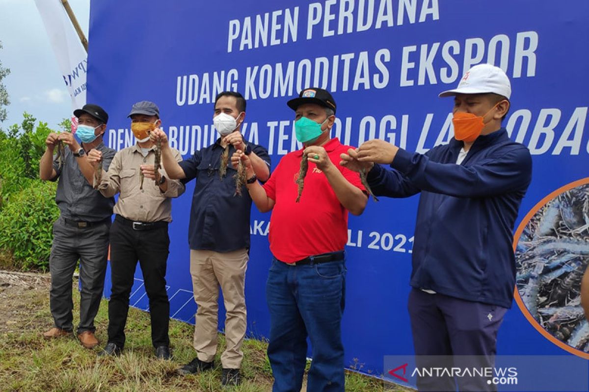 BI Kaltara-Pemkot Tarakan bantu tingkatkan produksi petambak udang