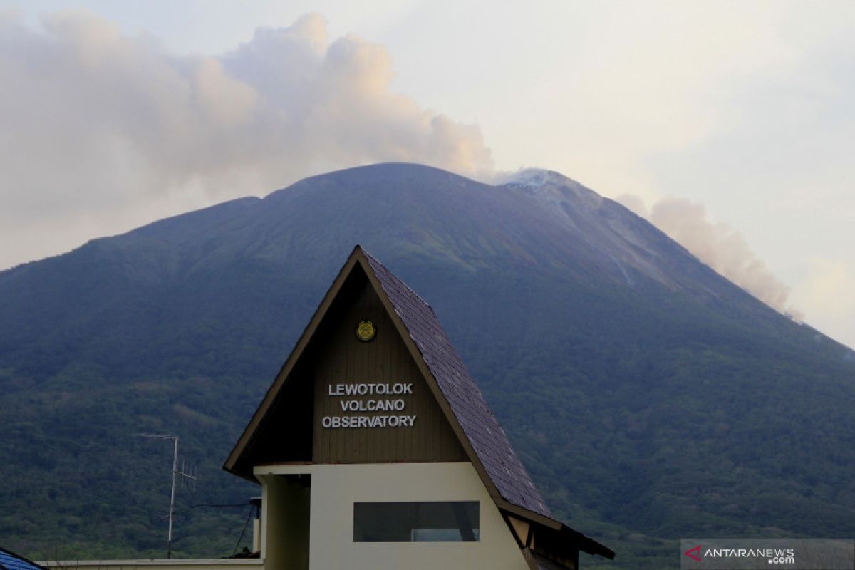 Gunung Ili Lewotolok erupsi dengan tinggi kolom abu 800 meter