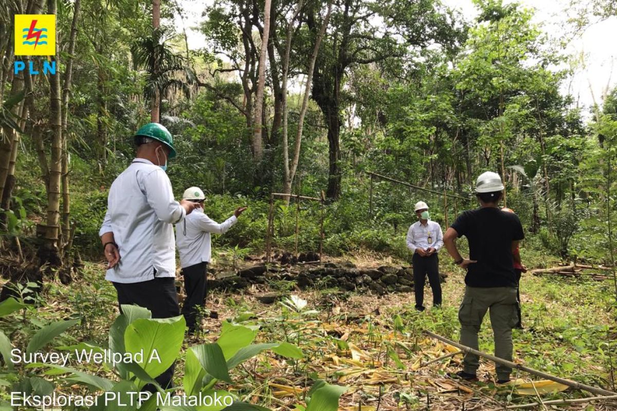 PLN kembangkan energi panas bumi 20 MW di Mataloko