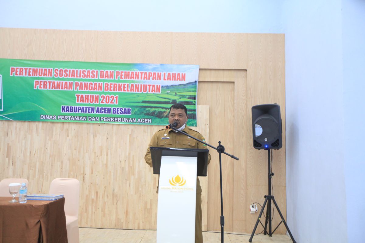 Sekda: Aceh Besar Fokus majukan sektor pertanian dan perkebunan
