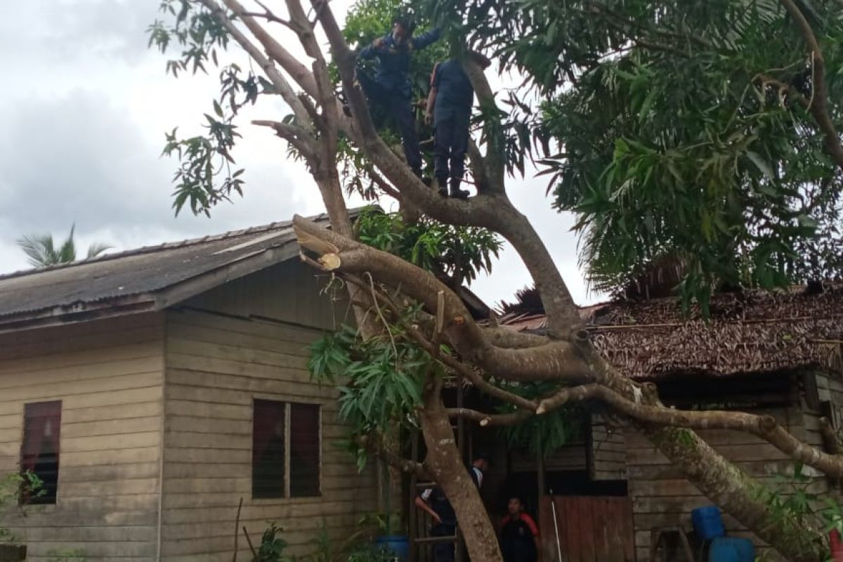 Puting beliung merusak 17 rumah warga di Desa Sepempang Natuna