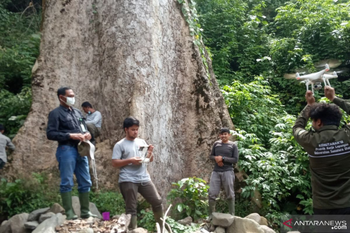 Kebun durian Koto Malintang diusulkan  jadi kawasan ekosistem esensial