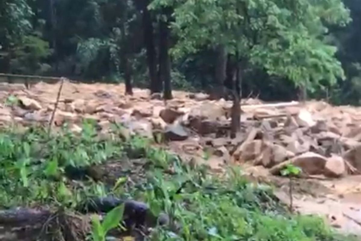 Dua penjaga kebun durian selamat dalam longsor di Kayong Utara