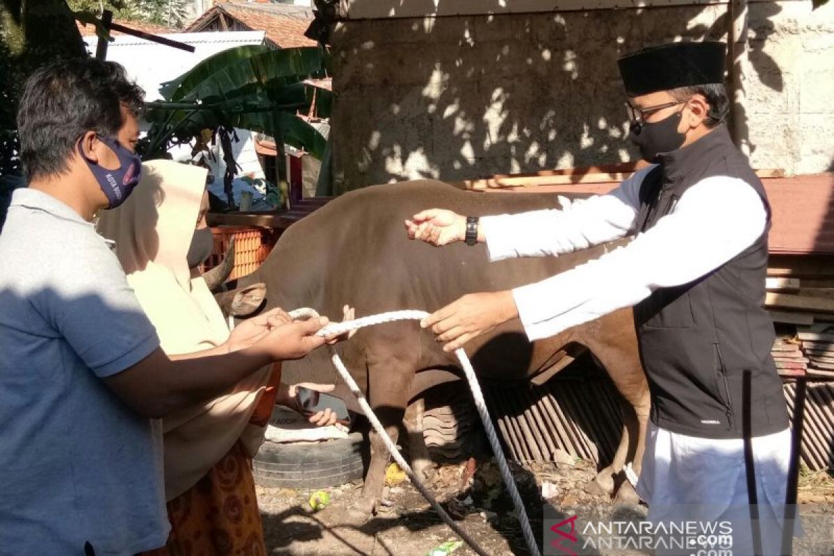 Bima Arya siap serahkan hewan kurban ke RPH Bubulak jelang Idul Adha