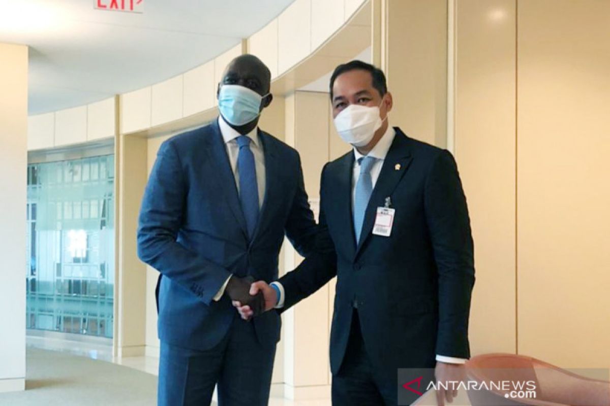 Indonesia, USA discuss cooperation in vaccine supply, distribution