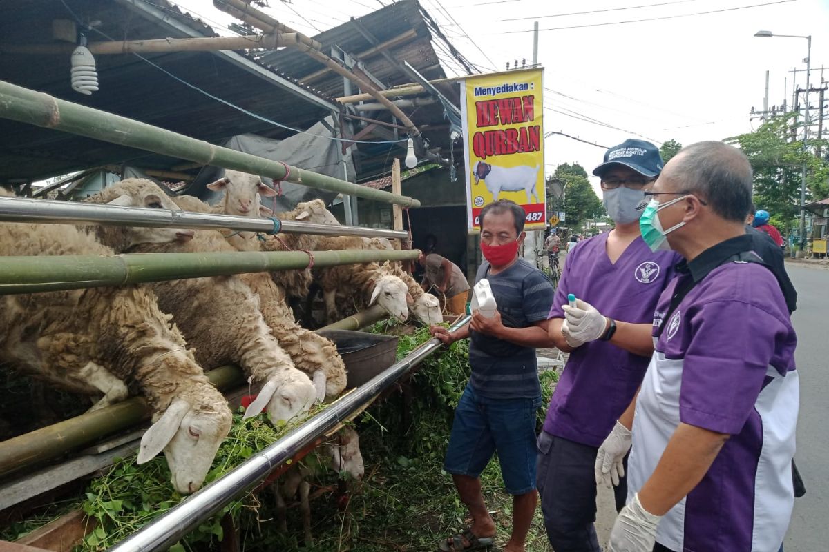 Penjualan hewan kurban di Jember turun selama PPKM darurat