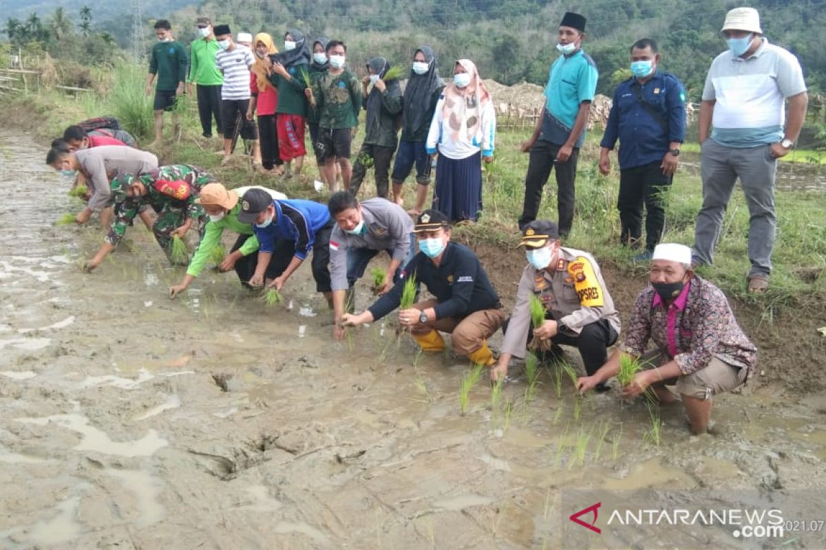 Polres Merangin 'sulap' tambang PETI jadi sawah