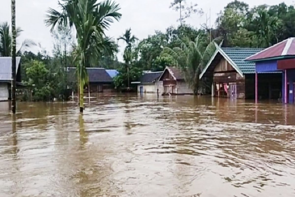 Wilayah pedalaman Kotawaringin Timur  dilanda banjir
