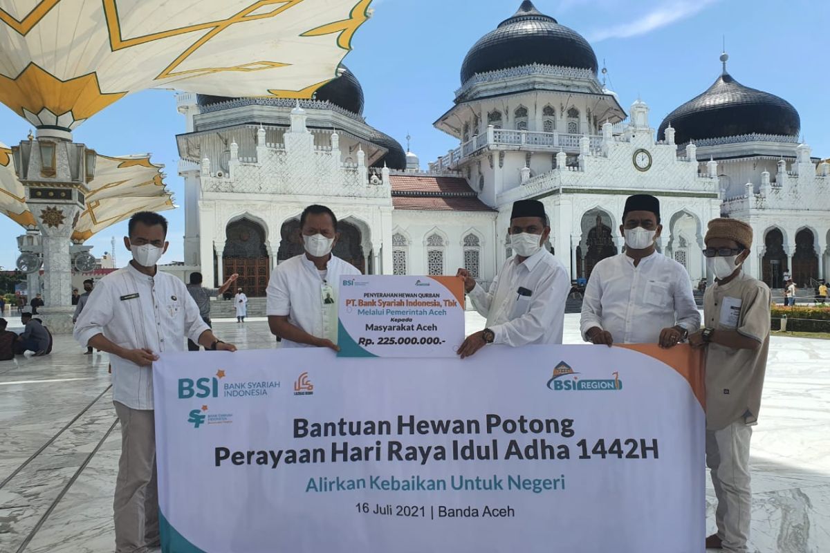 BSI serahkan hewan kurban untuk Aceh Rp225 juta