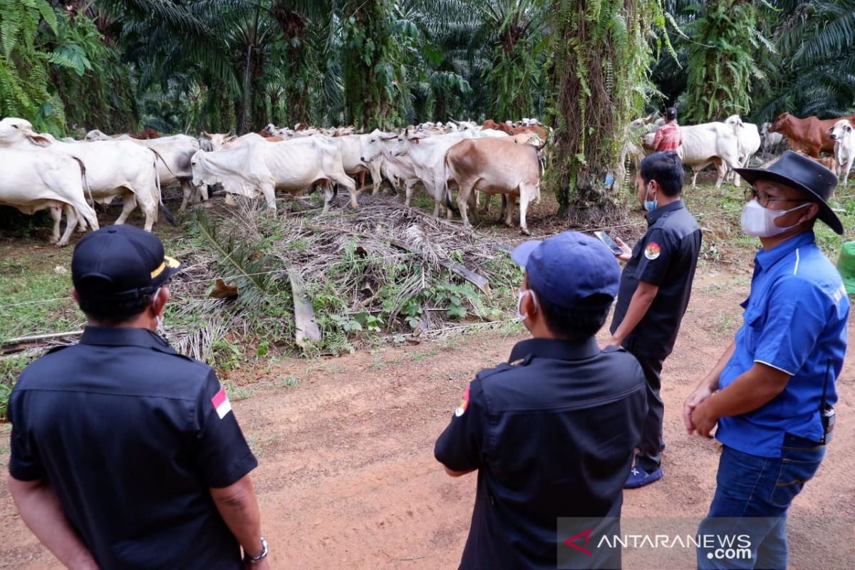 DPRD Kalsel dorong pemda dan swasta berkonstribusi strategis 