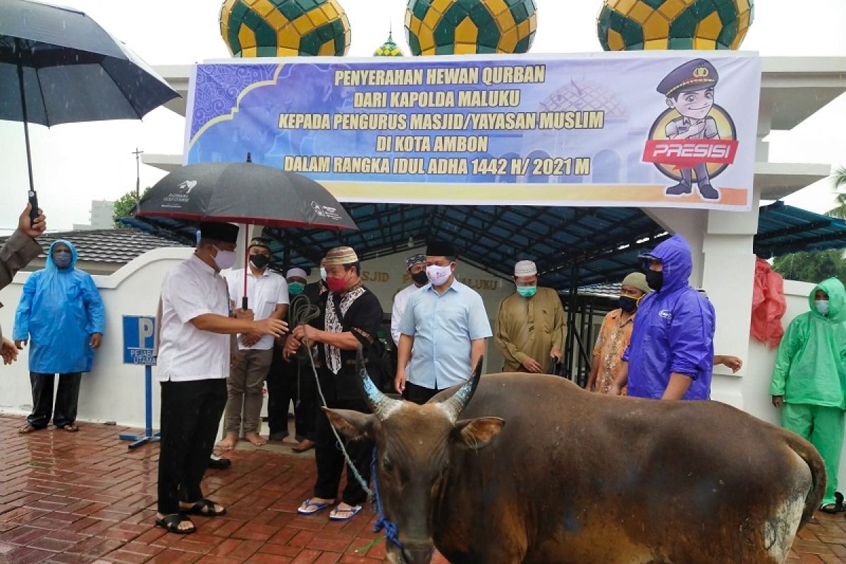 Polda Maluku salurkan 20 ekor hewan kurban, kepedulian sosial