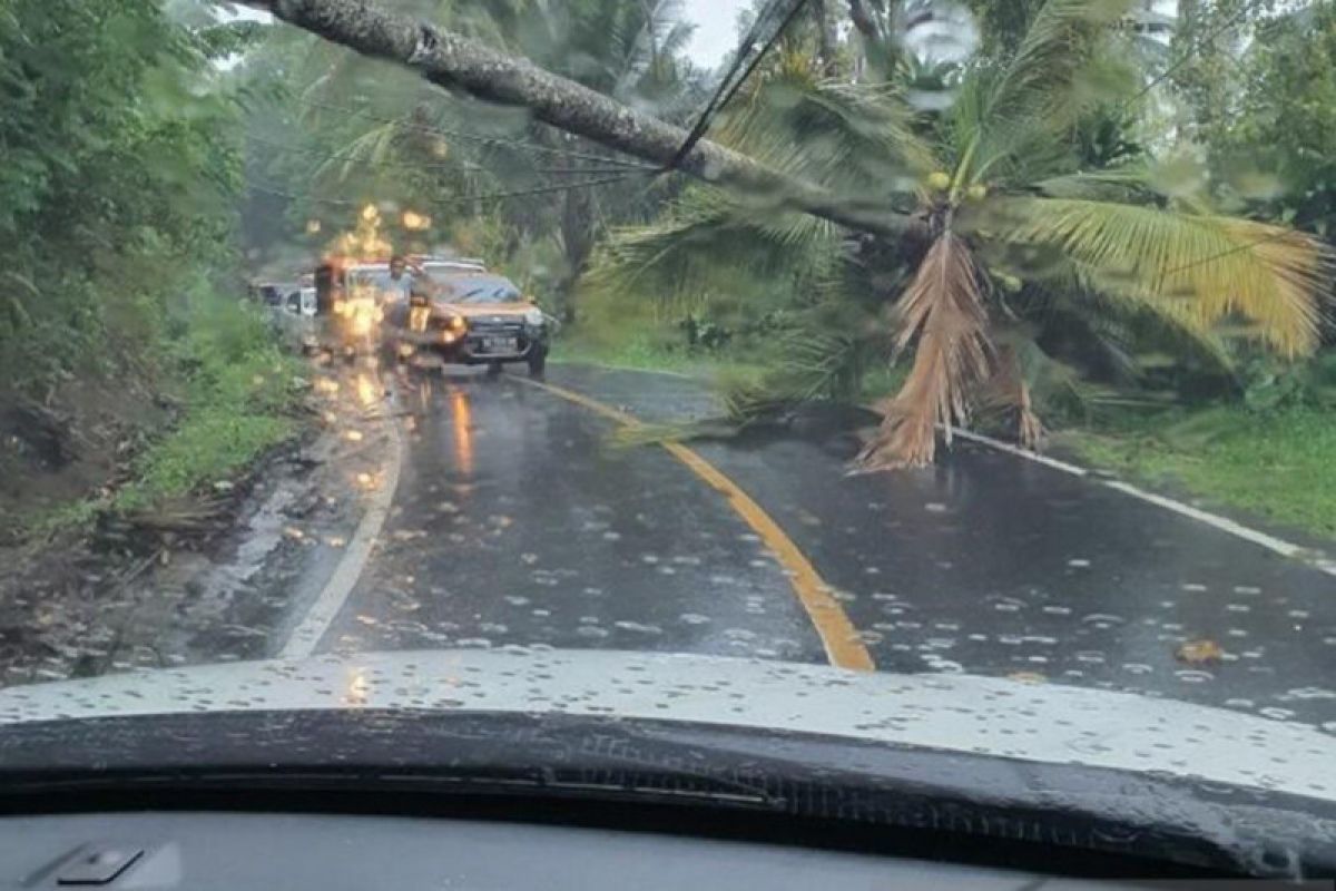 PLN UP3 Manado telah perbaiki jaringan listrik putus akibat cuaca ekstrem