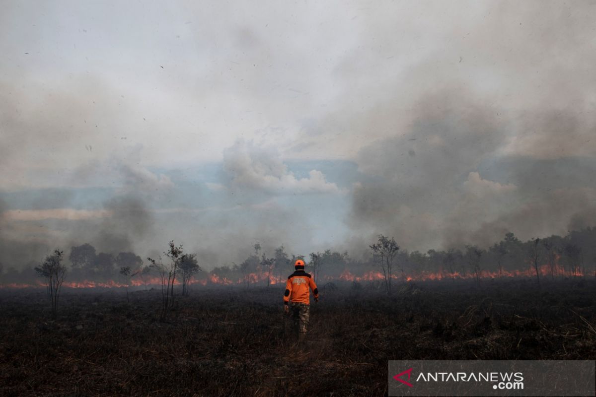 Belasan hektare lahan di Ogan Ilir terbakar