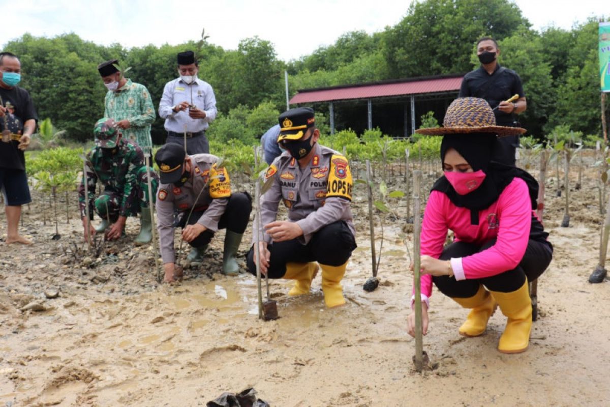 Kapolres Langkat lakukan penanaman mangrove jenis apikulata