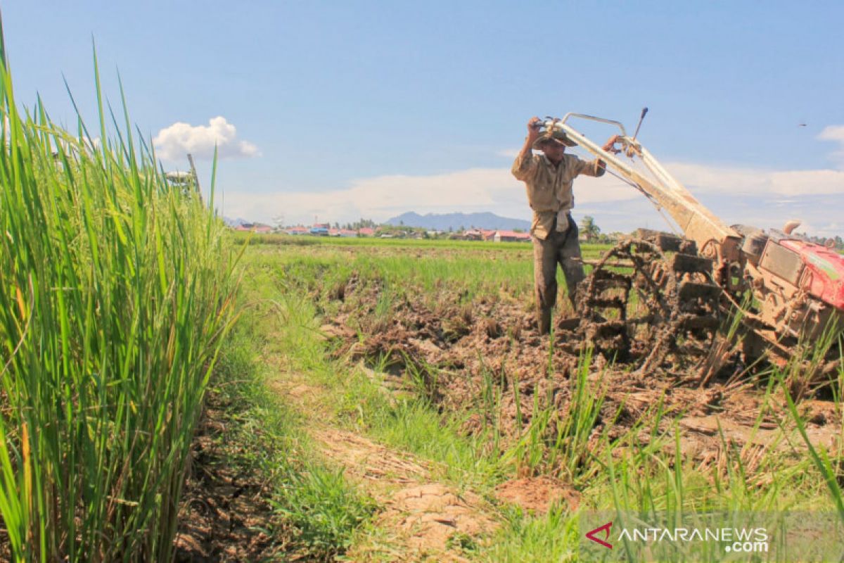 Pemkab Tanah Datar akan sediakan layanan bajak sawah gratis untuk petani