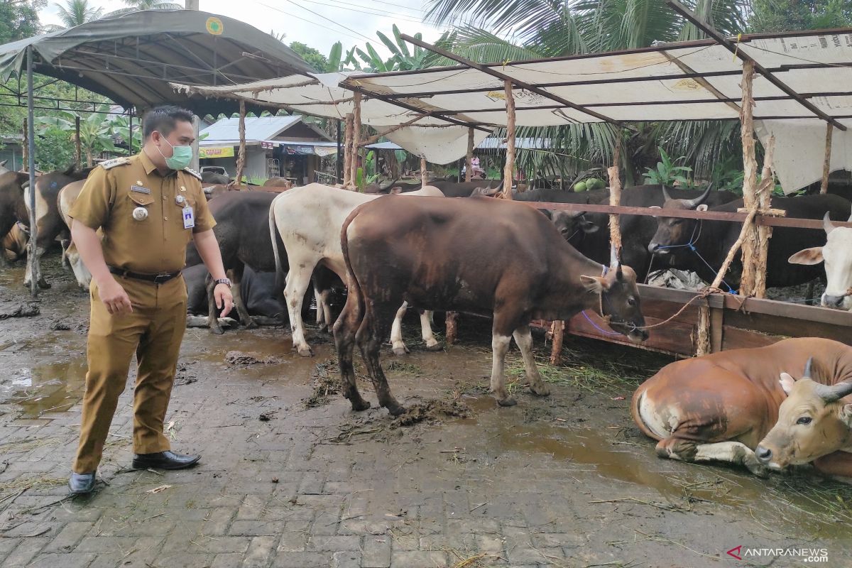 HST waspadai penyakit cacing hati pada setiap hewan kurban