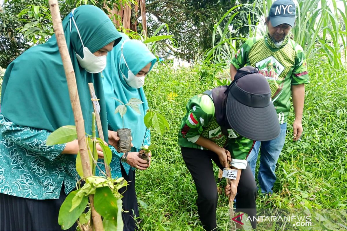 Sebanyak 500 bibit pohon ditanam di wilayah Meratus