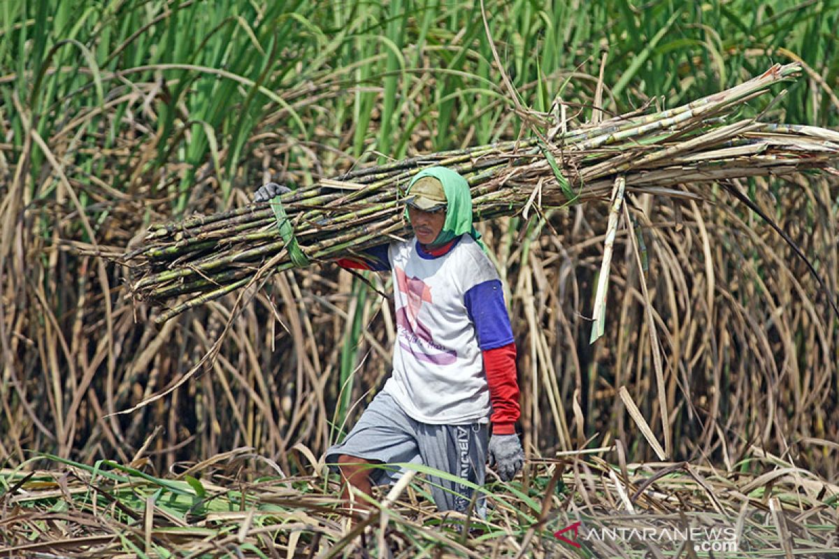 Anggota Komisi VI DPR dorong Kemenperin audit pabrik gula di Jatim