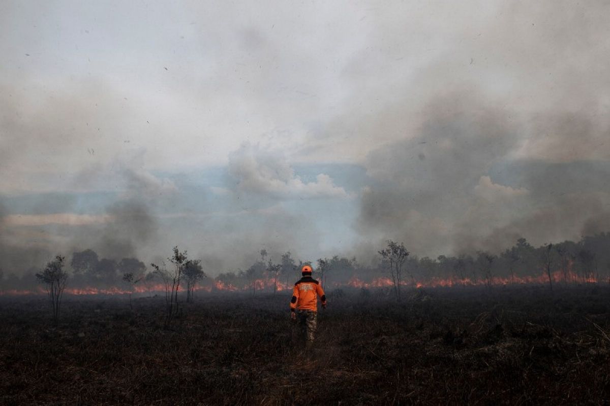 Belasan hektare lahan di Ogan Ilir terbakar, penyebab belum dipastikan
