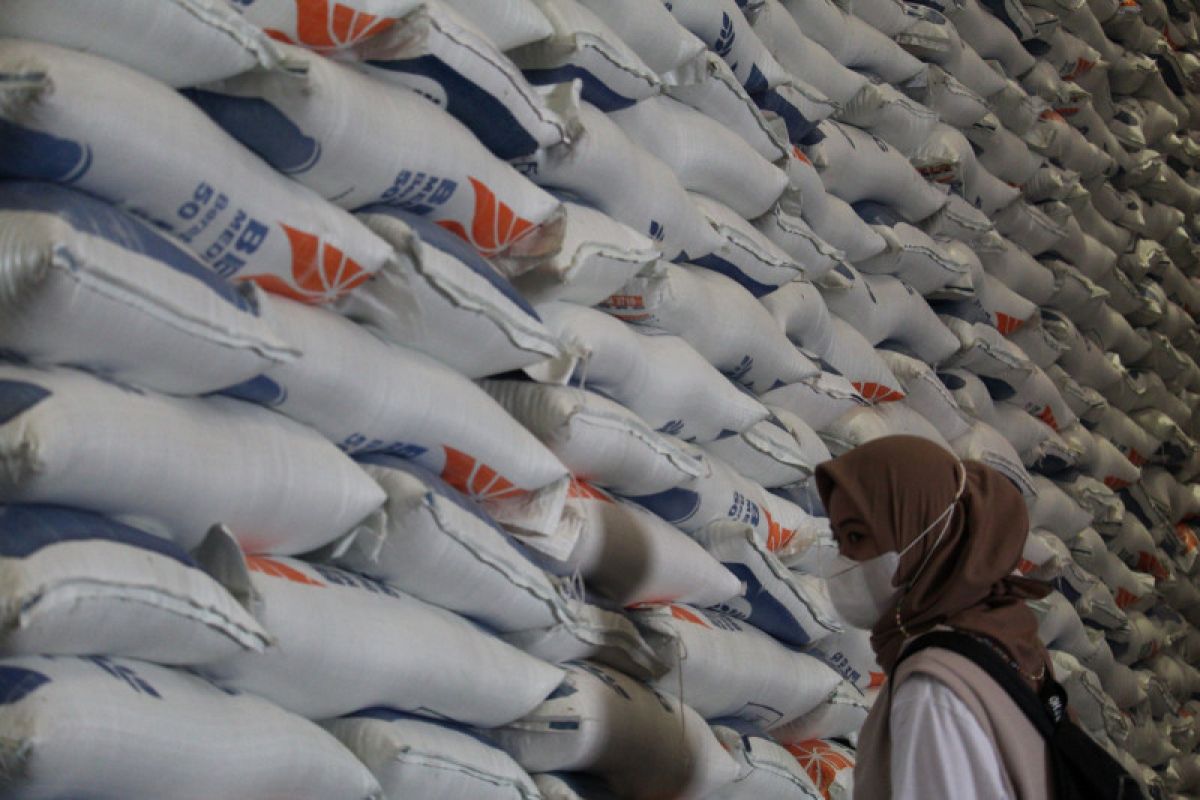 Bulog jamin ketersediaan beras Lampung cukup hingga akhir tahun