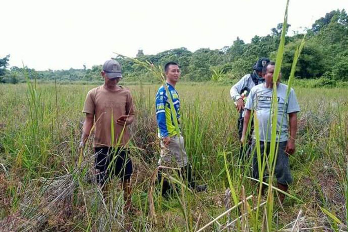 Legislator Kalteng dorong potensi pertanian di desa dioptimalkan