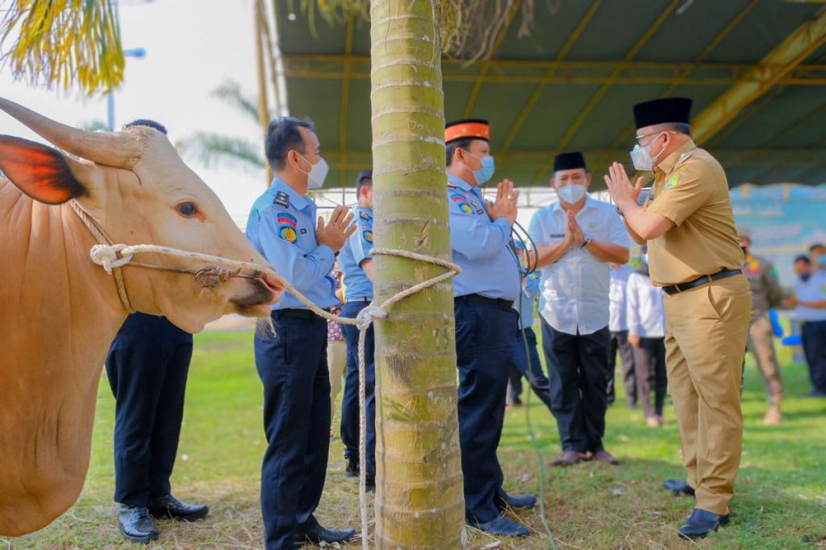 Kabupaten Musi Banyuasin prioritaskan warga isolasi mandiri terima daging kurban