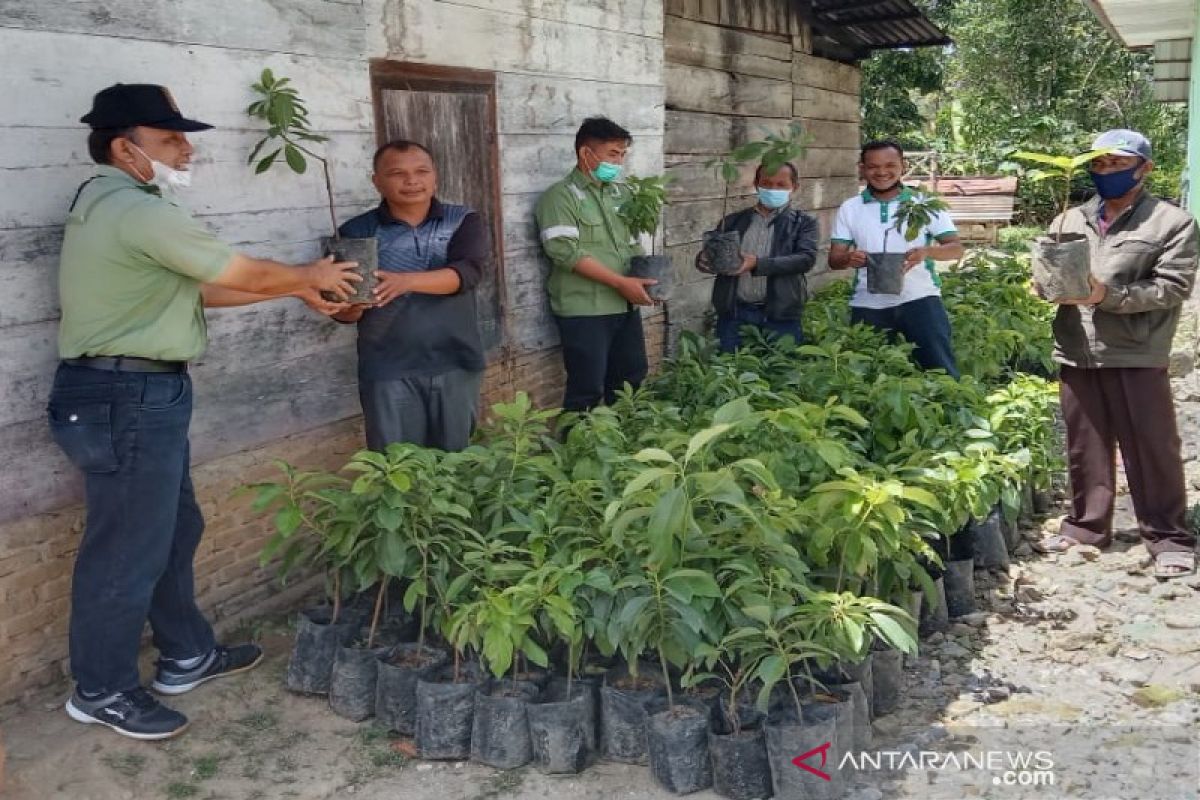 Rangkul masyarakat adat, ini bentuk kemitraan TPL di wilayah operasional perusahaan