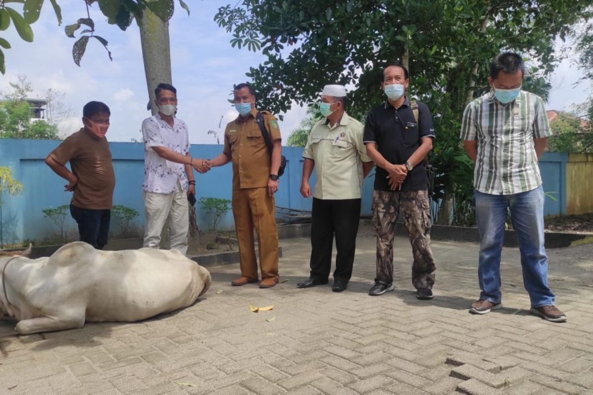 Apdesi Langkat serahkan tiga hewan qurban