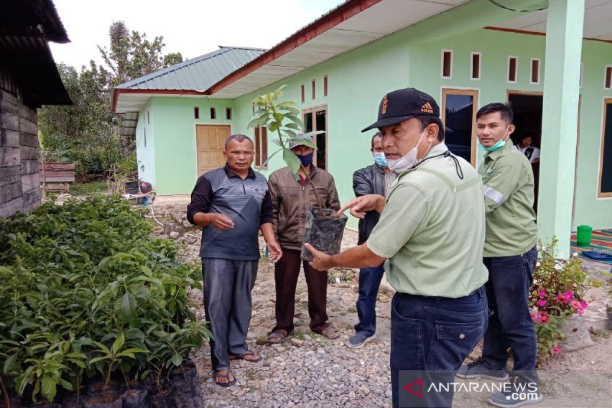 TPL serahkan bantuan bibit alpukat  di Sipahutar Taput