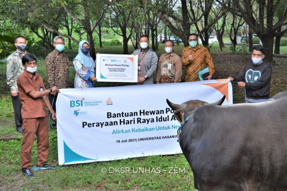 BSI dan Unhas salurkan bantuan sapi kurban untuk dibagikan ke masyarakat