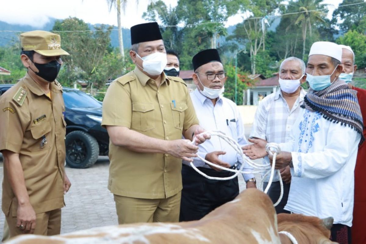 Bupati Dairi serahkan 1 hewan kurban ke Desa Pasi